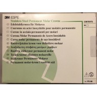 Stainless Steel Crown Permanent Molar