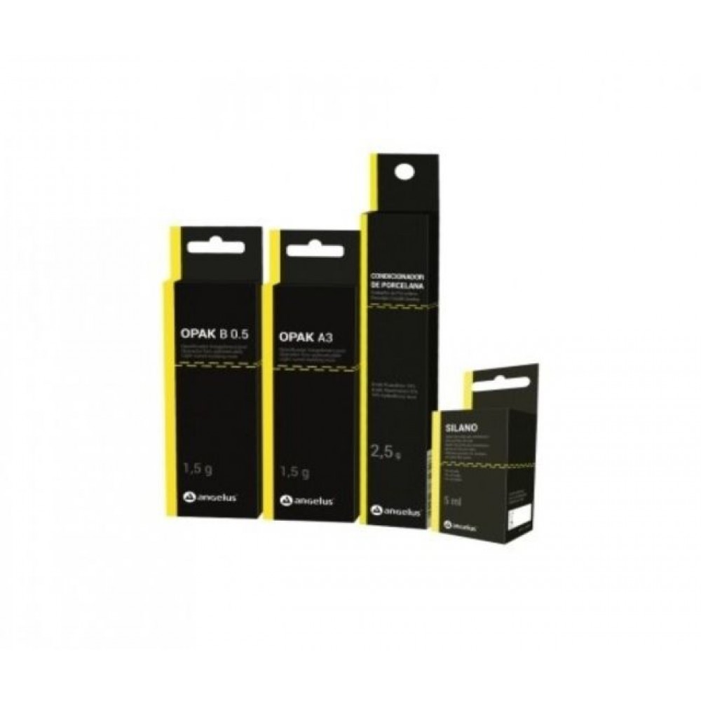 Buy Porcelain Repair Kit ANGELUS Online at Lowest Best Price