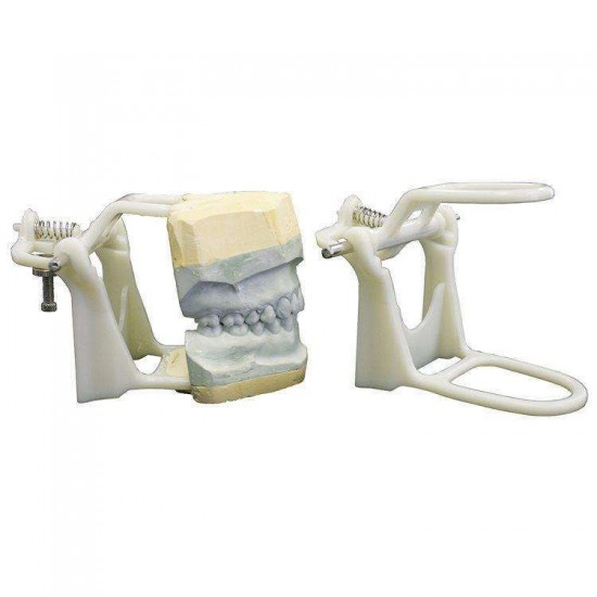 High Arch Plastic Articulator Chinese Plastic Articulator Rs.89.28