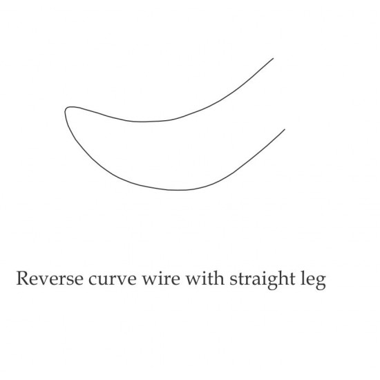 Reverse Curve Niti Rectangular Wires D-Tech Wires and Springs Rs.625.00