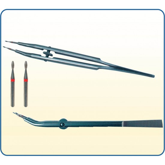 Crowny Crown Holder 70004 DFS Lab Instruments Rs.3,808.03