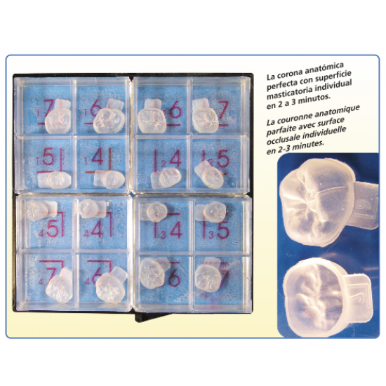 Occlusal Surface Modelling Set 11100 DFS Lab Others Rs.9,955.93