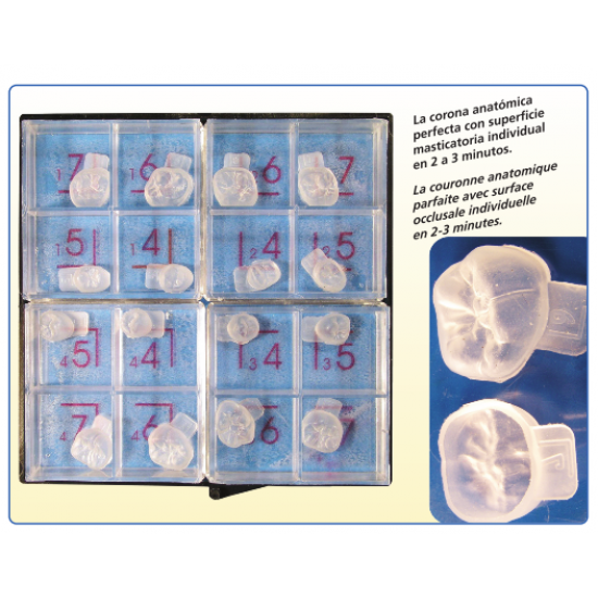Occlusal Surface Modelling Set 11100 DFS Lab Others Rs.10,334.74