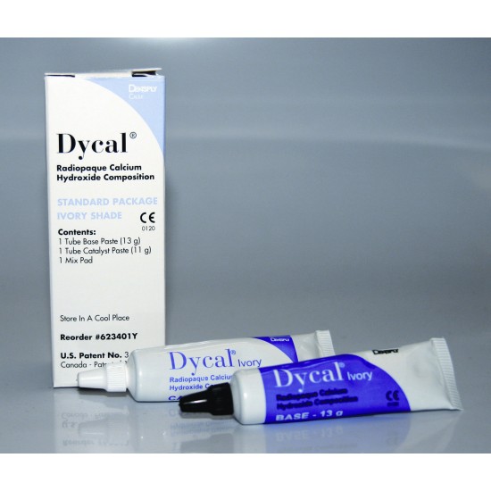 Dycal Ivory Standard Package Dentsply Calcium Hydroxide Rs.1,477.67