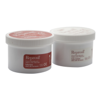 Reprosil Putty