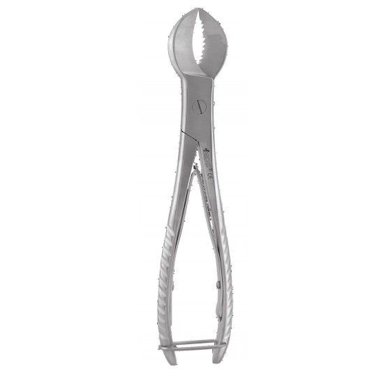 Plaster Shears PCS GDC Articulators and Articulating Paper Holder Rs.2,678.57