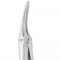 Extraction Forceps SECURE