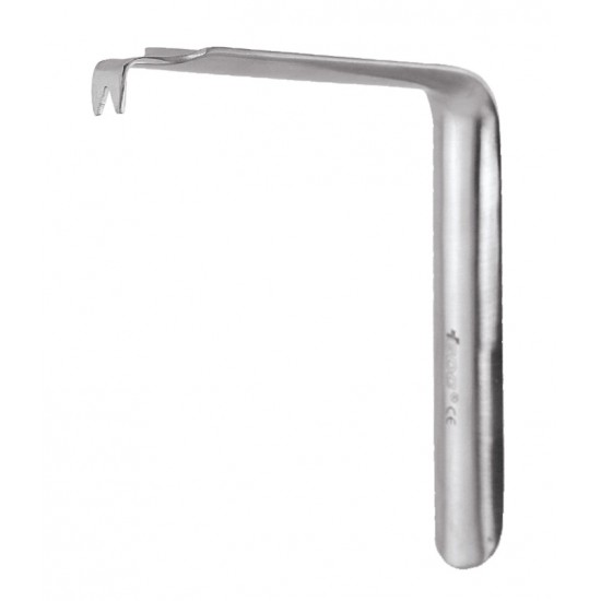 Austin Cheek Retractor Fork TRA2 GDC Cheek and Tissue Retractors Rs.1,125.00