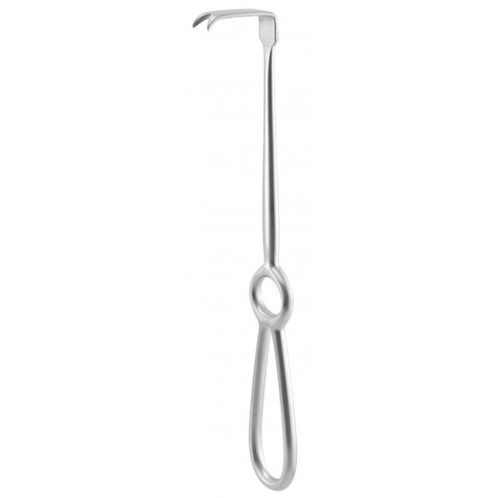 Ramus Cheek Retractor CRR GDC Cheek and Tissue Retractors Rs.1,125.00