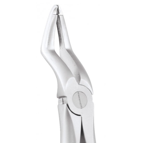 Extraction Forceps Atraumatic Upper Roots AFX51A GDC Extraction Forceps ATRAUMATIC Rs.2,008.92