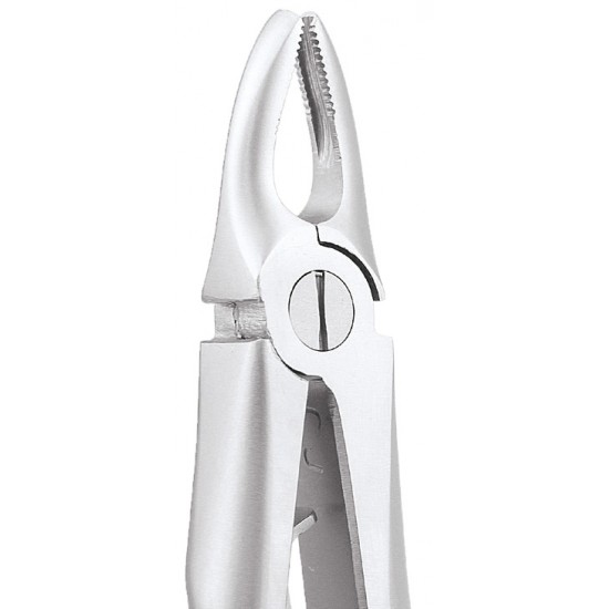 Standard Extraction Forcep Peedo Upper Anteriors FX5CS GDC Extraction Forceps PEEDO Rs.1,004.46