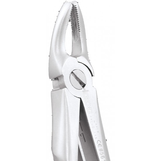 Standard Extraction Forcep Peedo Upper Premolars FX4CS GDC Extraction Forceps PEEDO Rs.1,004.46