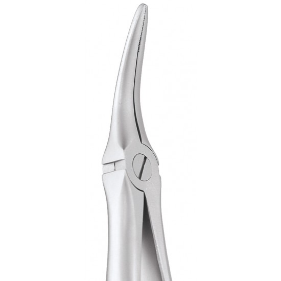 Extraction Forceps Secure Upper Roots SFX149-11 GDC Extraction Forceps SECURE Rs.2,008.92