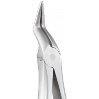 Extraction Forceps Secure Upper Roots SFX197-11