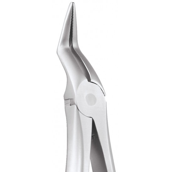 Extraction Forceps Secure Upper Roots SFX197-11 GDC Extraction Forceps SECURE Rs.2,008.92