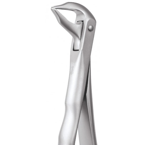 Extraction Forceps Secure Lower Roots SFX959 GDC Extraction Forceps SECURE Rs.2,008.92