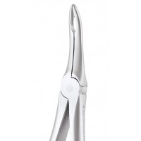 Extraction Forceps Secure Upper Roots SFX849