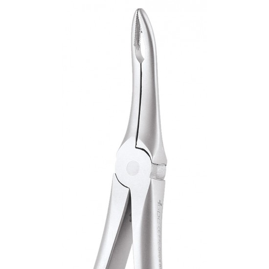 Extraction Forceps Secure Upper Roots SFX849 GDC Extraction Forceps SECURE Rs.2,008.92