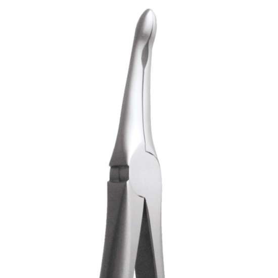 Extraction Forceps Secure Upper Roots SFX944 GDC Extraction Forceps SECURE Rs.2,008.92