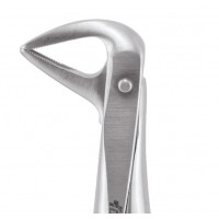 Standard Extraction Forcep Lower Anterior and Roots FX74S