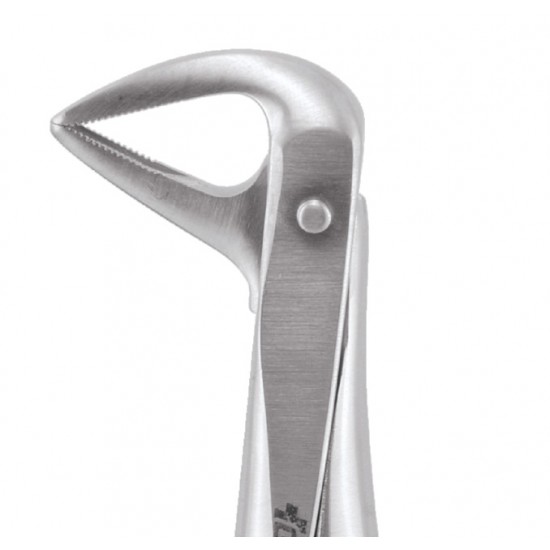 Standard Extraction Forcep Lower Anterior and Roots FX74S GDC Extraction Forceps Rs.1,004.46