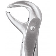 Premium Extraction Forcep Lower Molars FX73P