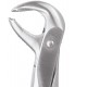 Standard Extraction Forcep Lower Molars FX73S GDC Extraction Forceps Rs.1,004.46