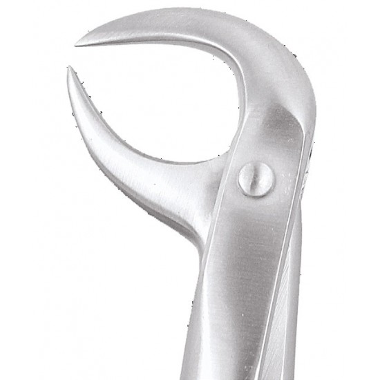 Standard Extraction Forcep Lower Molars FX86BS GDC Extraction Forceps Rs.1,004.46