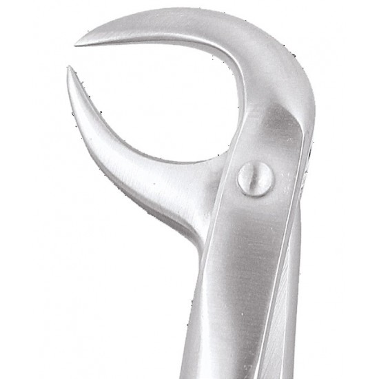 Premium Extraction Forcep Lower Molars FX86BP GDC Extraction Forceps Rs.1,473.21