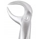 Standard Extraction Forcep Lower Molars FX86BS GDC Extraction Forceps Rs.1,004.46