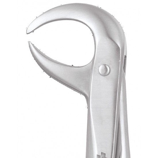 Premium Extraction Forcep Lower Molars FX86CP GDC Extraction Forceps Rs.1,473.21