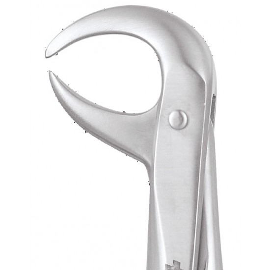 Standard Extraction Forcep Lower Molars FX86CS GDC Extraction Forceps Rs.1,004.46