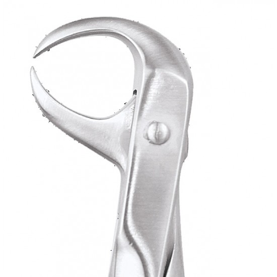 Standard Extraction Forcep Lower Molars FX86S GDC Extraction Forceps Rs.1,004.46