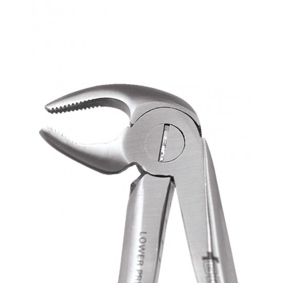 Ergonomic Extraction Forcep Lower Premolars FX13E GDC Extraction Forceps Rs.1,607.14