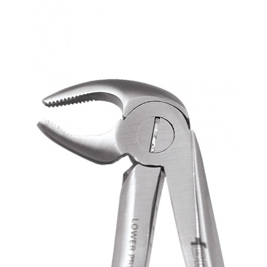 Premium Extraction Forcep Lower Premolars FX13P GDC Extraction Forceps Rs.1,473.21