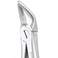 Standard Extraction Forcep Lower Roots FX31S