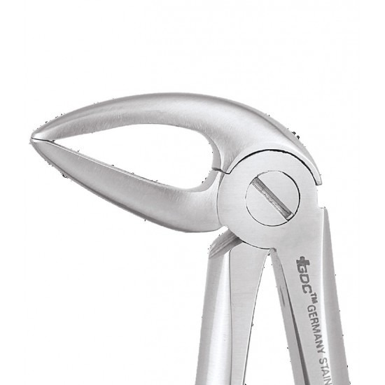 Standard Extraction Forcep Lower Roots FX33LS GDC Extraction Forceps Rs.1,004.46