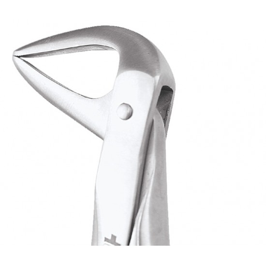 Standard Extraction Forcep Lower Roots FX74NS GDC Extraction Forceps Rs.1,004.46