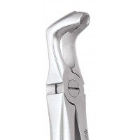 Standard Extraction Forcep Lower Third Molars FX79S