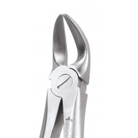 Standard Extraction Forcep Separating Lower Molars FX56S