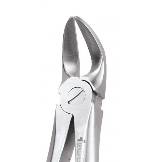 Standard Extraction Forcep Separating Lower Molars FX56S GDC Extraction Forceps Rs.1,004.46