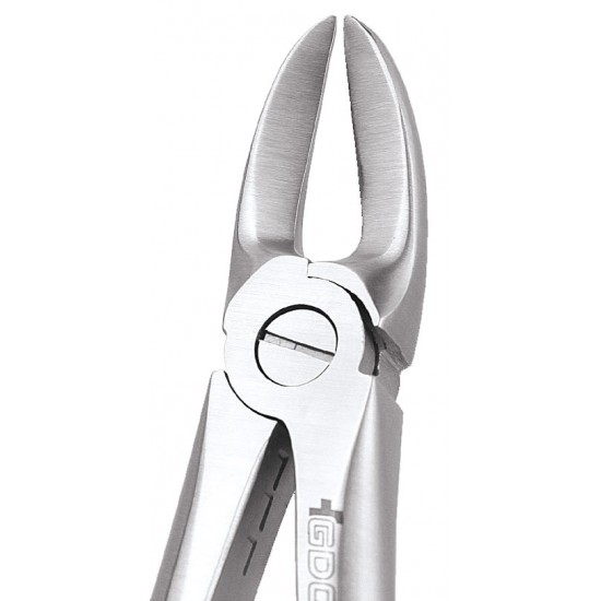 Standard Extraction Forcep Separating Upper Molars FX55S GDC Extraction Forceps Rs.1,004.46