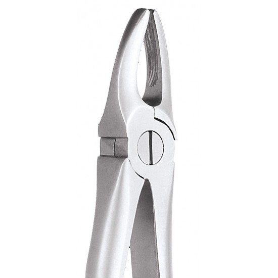 Ergonomic Extraction Forcep Upper Anteriors FX1E GDC Extraction Forceps Rs.1,607.14