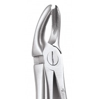 Standard Extraction Forcep Upper Molars FX18AS