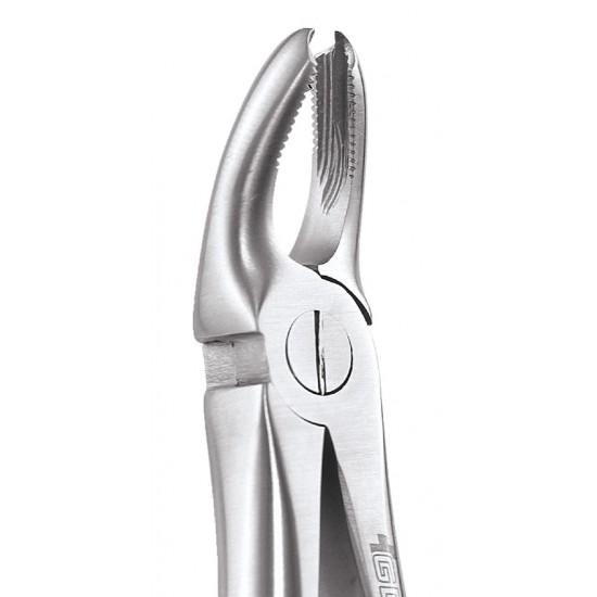 Standard Extraction Forcep Upper Molars FX18AS GDC Extraction Forceps Rs.1,004.46