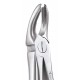 Standard Extraction Forcep Upper Molars FX18AS GDC Extraction Forceps Rs.1,004.46