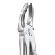 Standard Extraction Forcep Upper Molars FX18AS GDC Extraction Forceps Rs.1,004.46