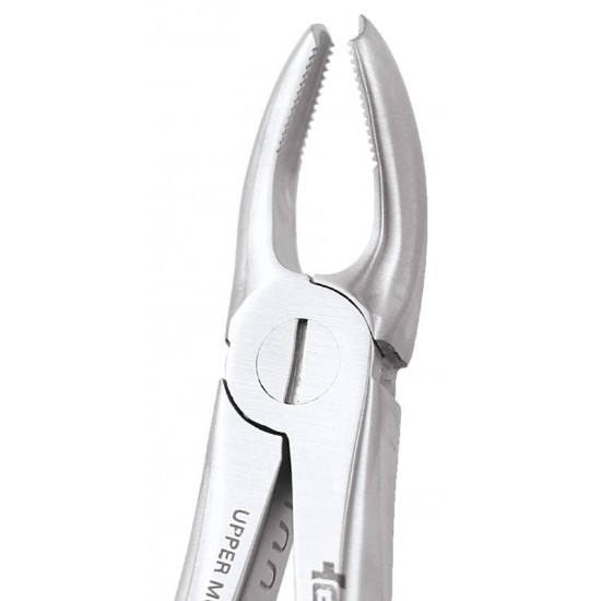 Ergonomic Extraction Forcep Upper Molars Left FX18E GDC Extraction Forceps Rs.1,607.14