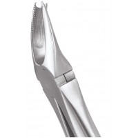 Standard Extraction Forcep Upper Molars Right FX89S