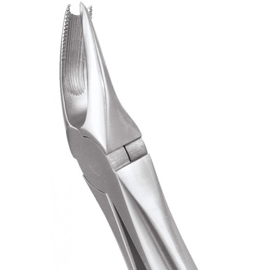 Standard Extraction Forcep Upper Molars Right FX89S GDC Extraction Forceps Rs.1,004.46